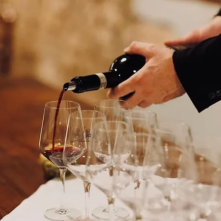 ANTICA CORTE AL MOLINO di Roberto Mazzi Winery- Adults Only-2