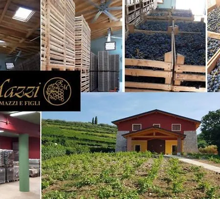 ANTICA CORTE AL MOLINO di Roberto Mazzi Winery- Adults Only-3