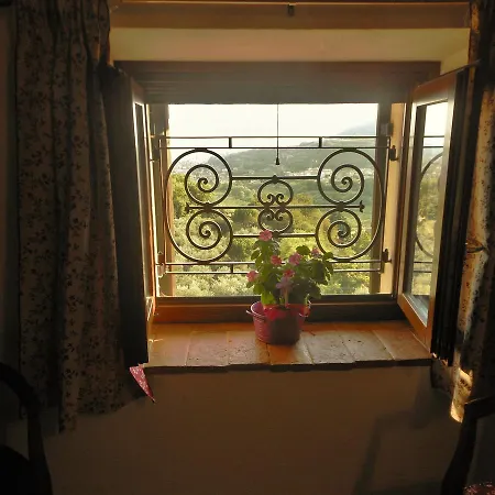 B&B Paradiso-3